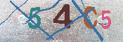 Immagine CAPTCHA