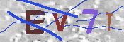 Immagine CAPTCHA