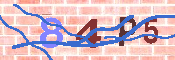 Immagine CAPTCHA