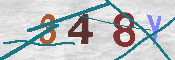 Immagine CAPTCHA