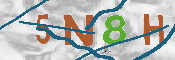 Immagine CAPTCHA