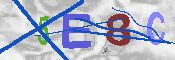 Immagine CAPTCHA