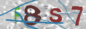 Immagine CAPTCHA