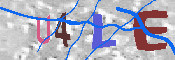 Immagine CAPTCHA