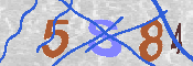 Immagine CAPTCHA
