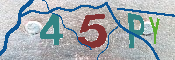 Immagine CAPTCHA