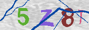 Immagine CAPTCHA
