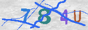 Immagine CAPTCHA