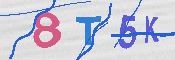 Immagine CAPTCHA