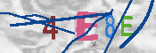 Immagine CAPTCHA