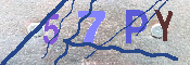 Immagine CAPTCHA
