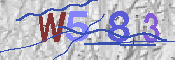 Immagine CAPTCHA