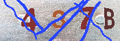 Immagine CAPTCHA