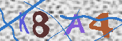 Immagine CAPTCHA