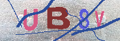 Immagine CAPTCHA