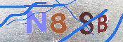 Immagine CAPTCHA