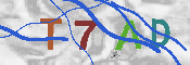 Immagine CAPTCHA