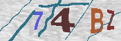 Immagine CAPTCHA