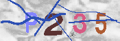 Immagine CAPTCHA